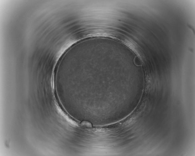 X0000102511084200808151540