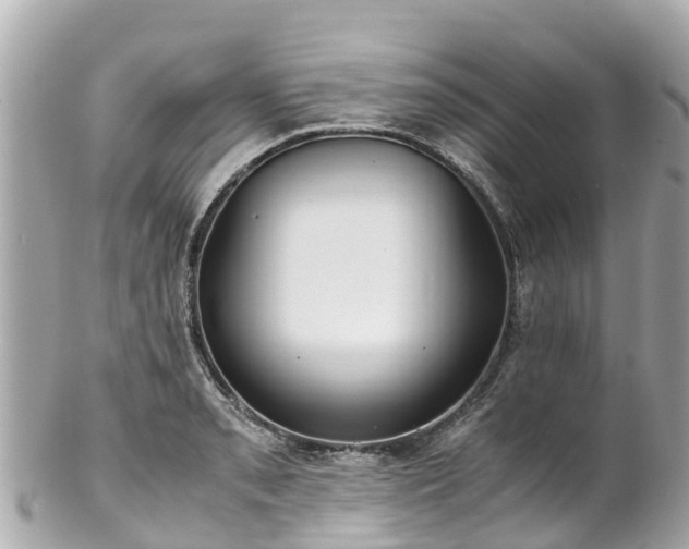 X0000102511085200808151540