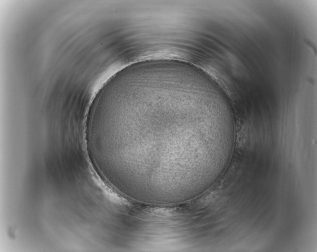 X0000102511086200808151540
