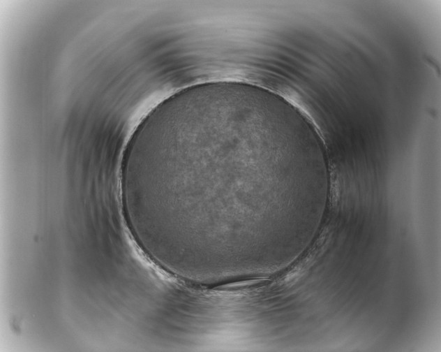 X0000102511088200808151540