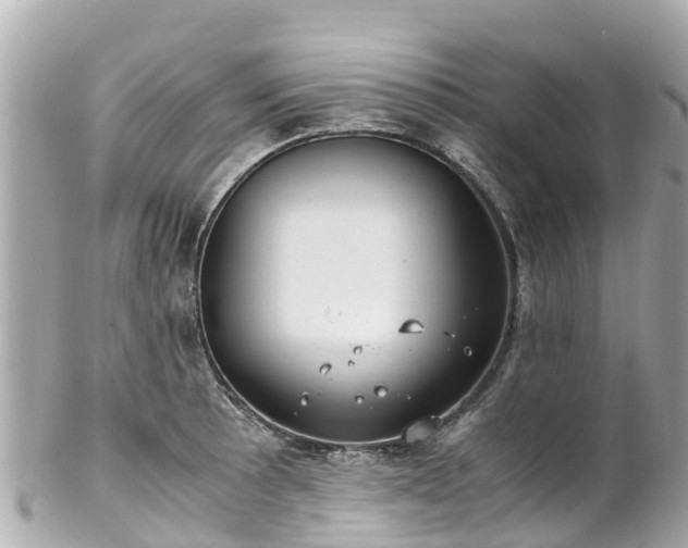 X0000102511089200808151540