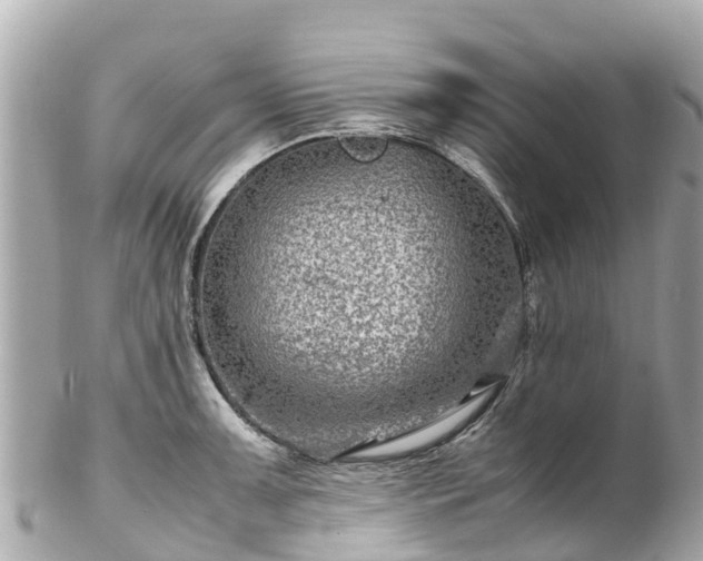 X0000102511091200808151540
