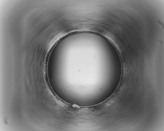 X0000102511093200808151540