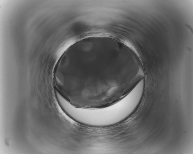 X0000102511095200808151540