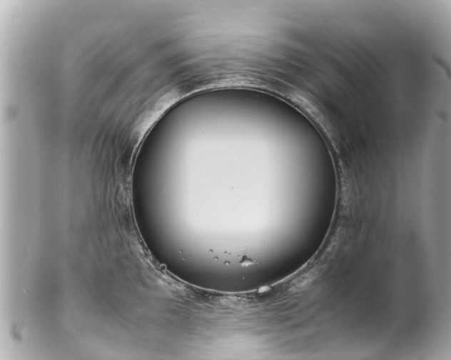 X0000102511097200808151540