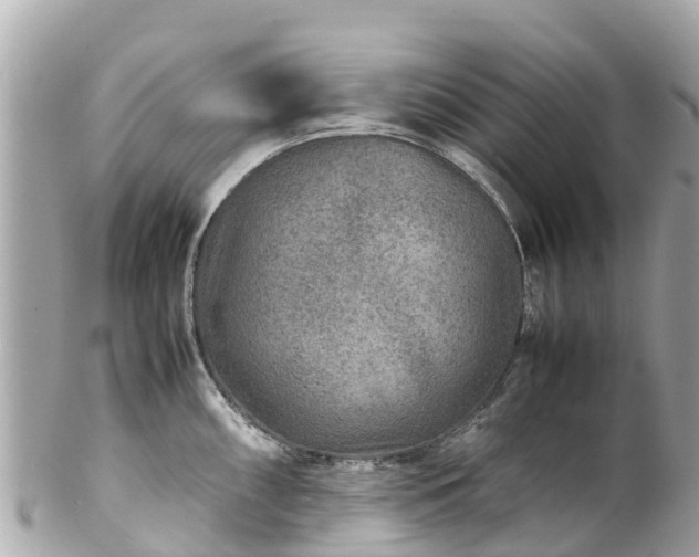 X0000102511098200808151540