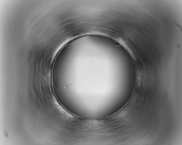 X0000102511100200808151540
