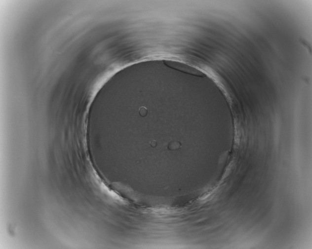X0000102511102200808151540