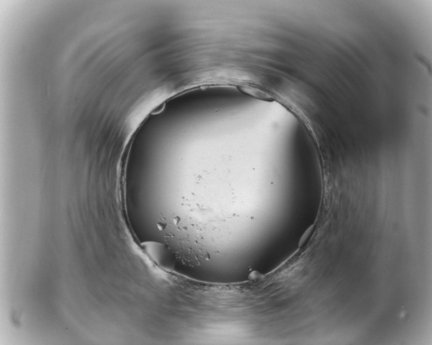 X0000102511103200808151540