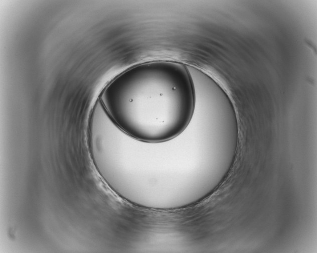 X0000102511104200808151540