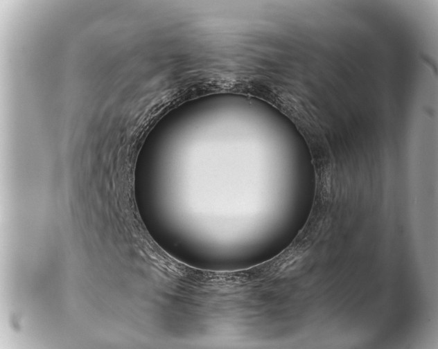 X0000102511105200808151539
