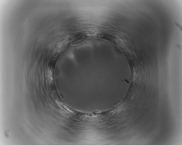 X0000102511106200808151539