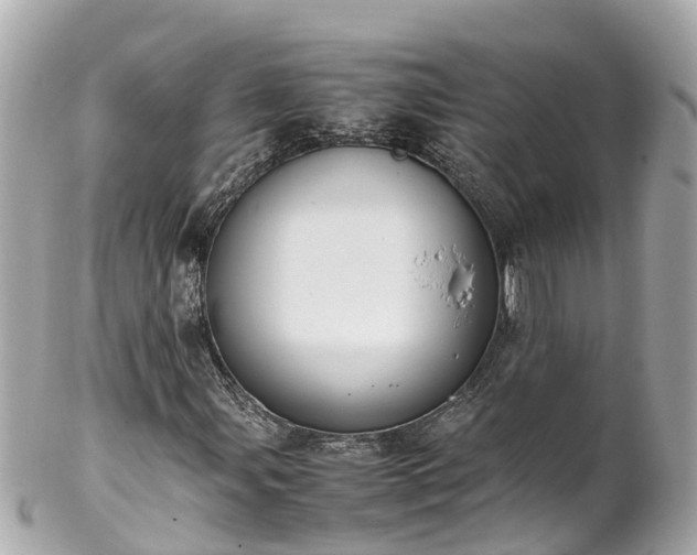X0000102511107200808151539