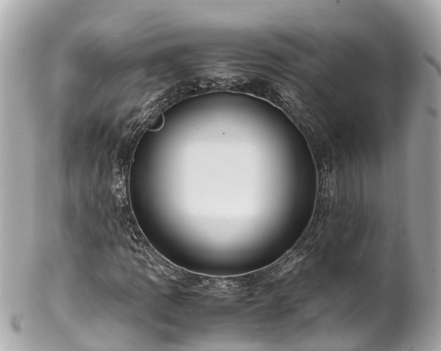 X0000102511109200808151539