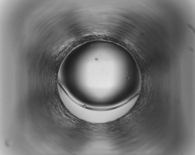 X0000102511110200808151539