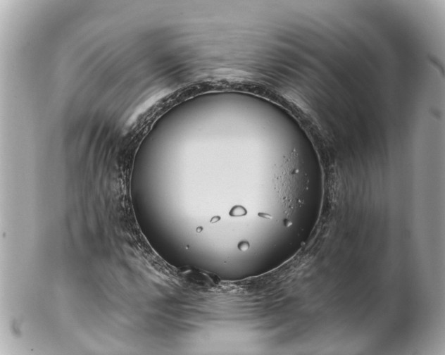 X0000102511112200808151539