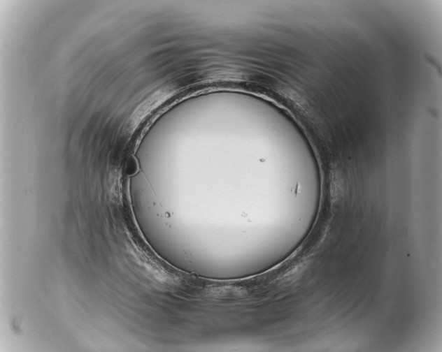 X0000102511113200808151539