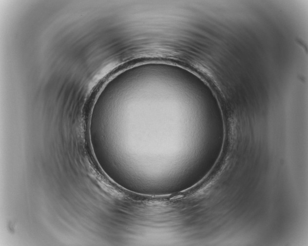 X0000102511114200808151539