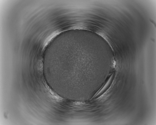 X0000102511115200808151539