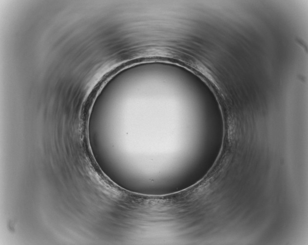 X0000102511116200808151539