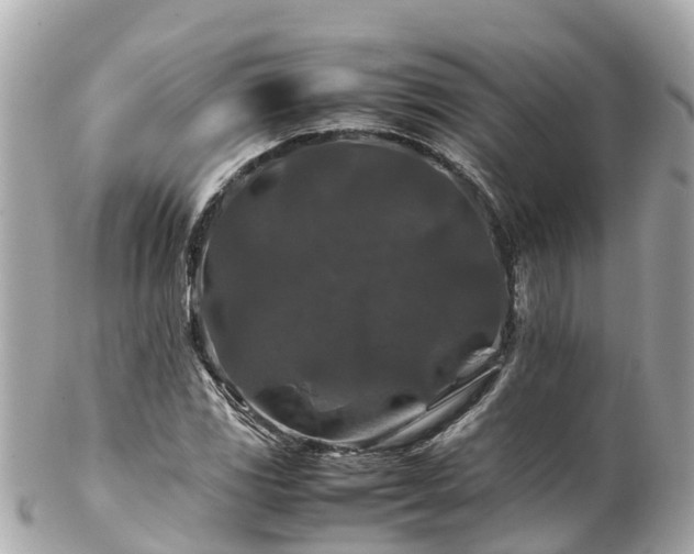 X0000102511117200808151539