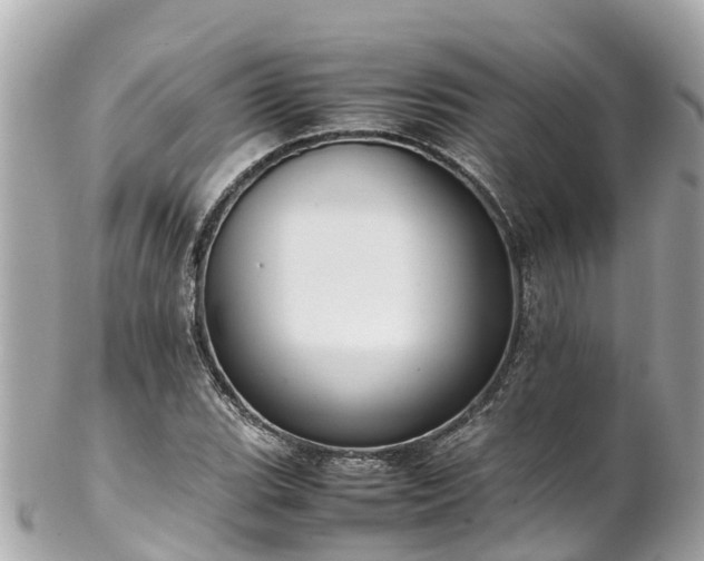 X0000102511119200808151539