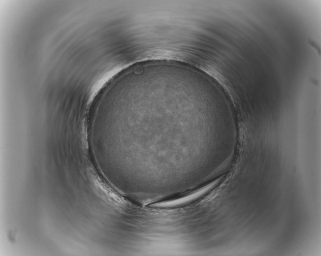 X0000102511120200808151539