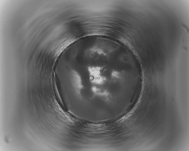 X0000102511121200808151539