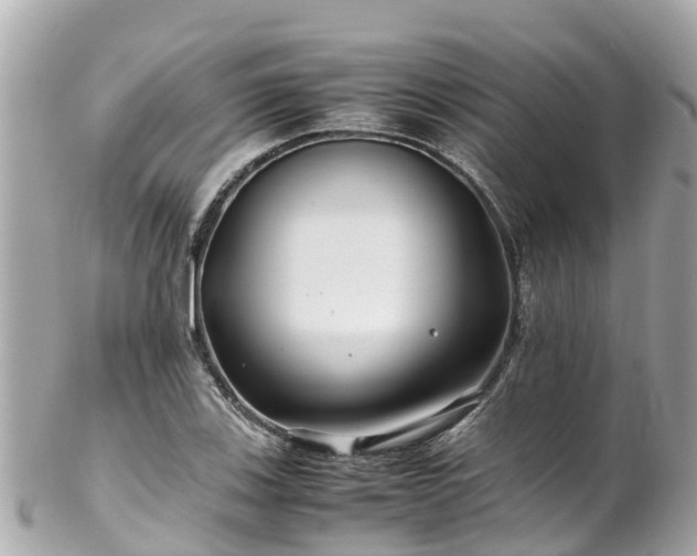 X0000102511123200808151539