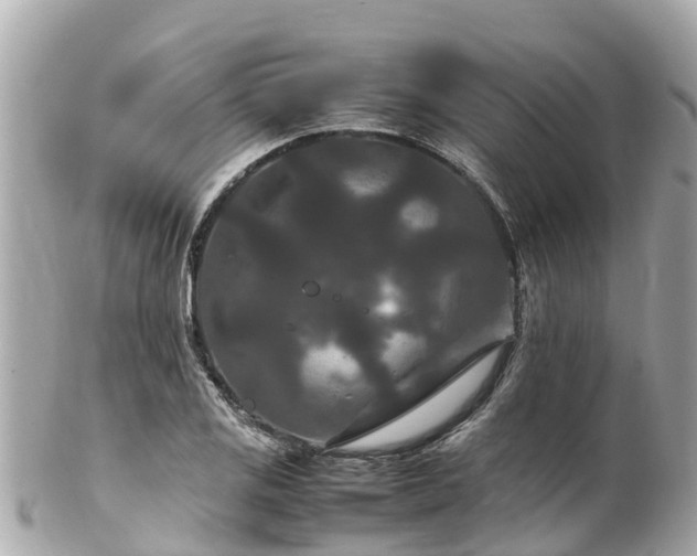 X0000102511125200808151539