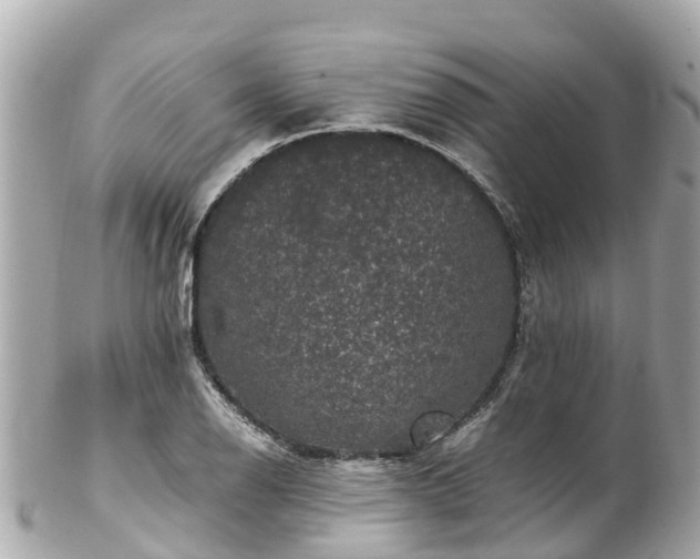 X0000102511126200808151539