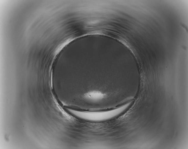 X0000102511127200808151539