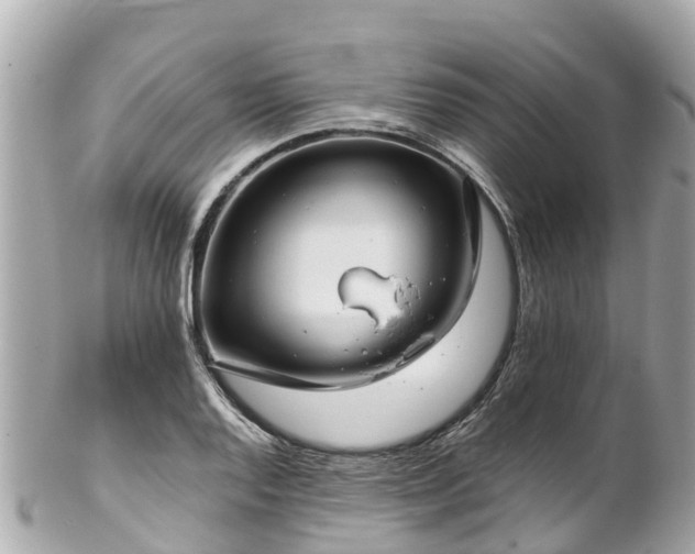 X0000102511128200808151539