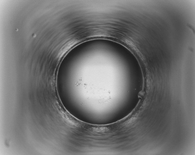 X0000102511129200808151539