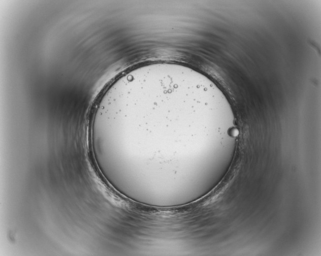X0000102511130200808151539