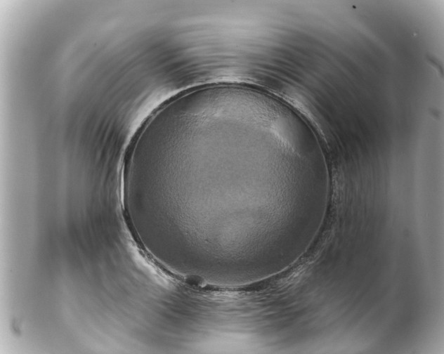 X0000102511132200808151539
