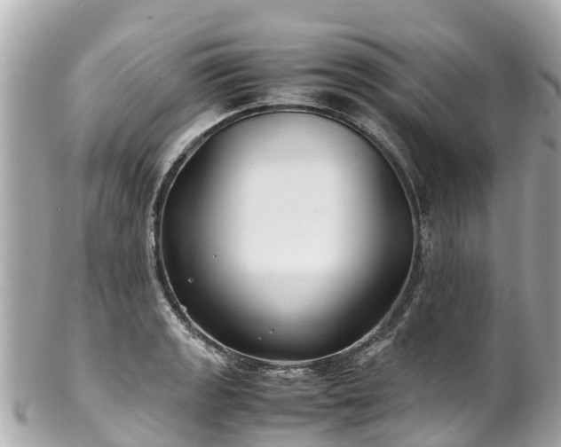 X0000102511133200808151540