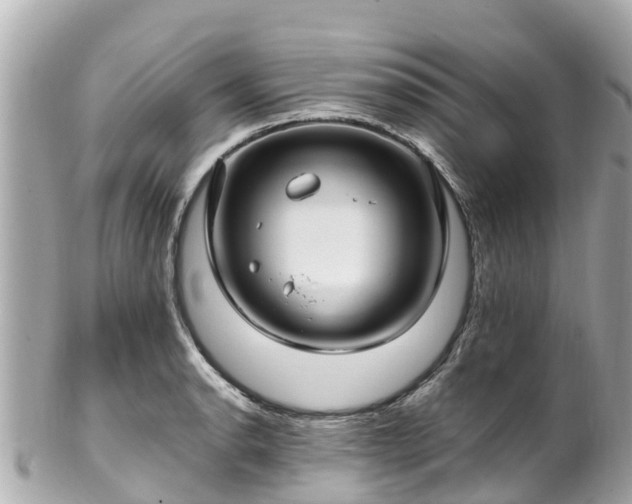 X0000102511134200808151540
