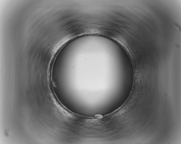 X0000102511135200808151540