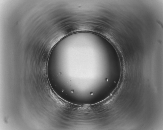 X0000102511137200808151540