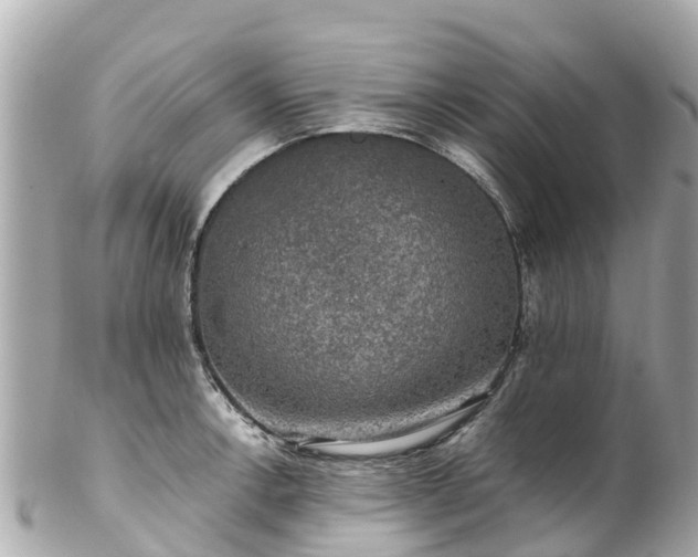 X0000102511138200808151540