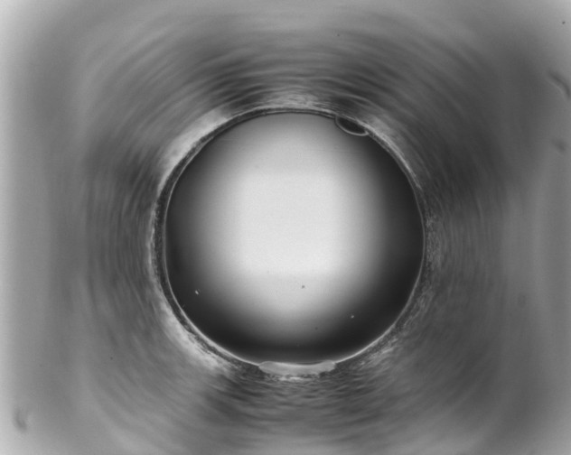 X0000102511139200808151540