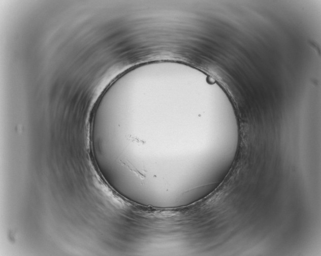 X0000102511140200808151540