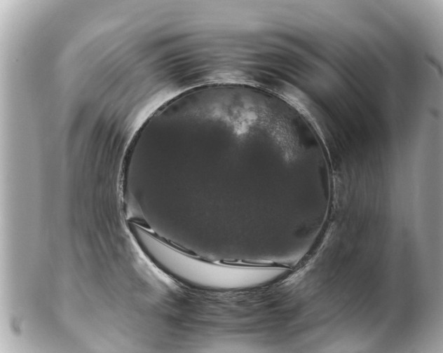 X0000102511141200808151540