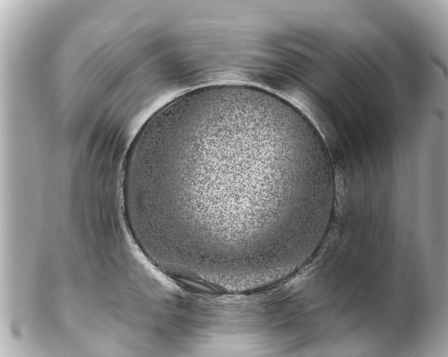 X0000102511142200808151540