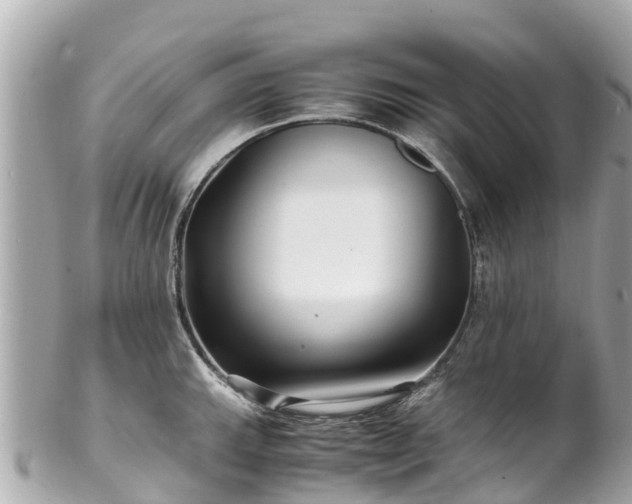 X0000102511143200808151540