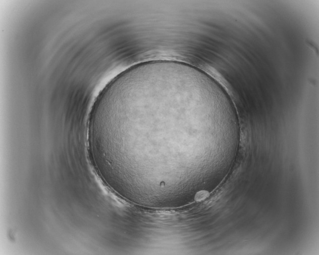X0000102511144200808151540