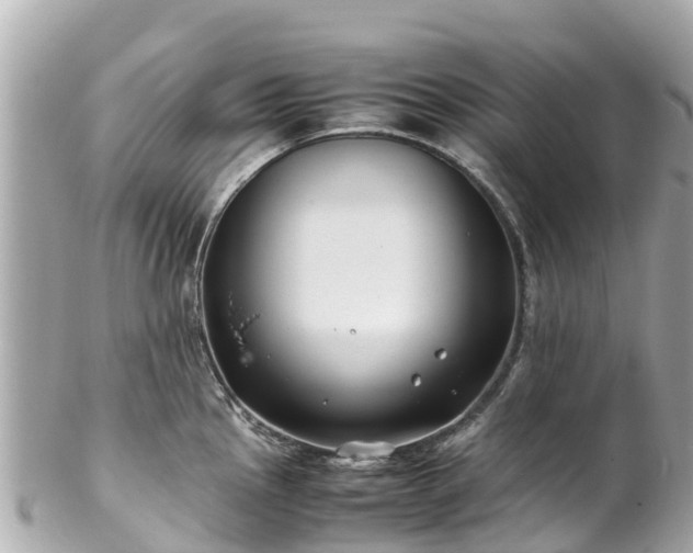 X0000102511145200808151540