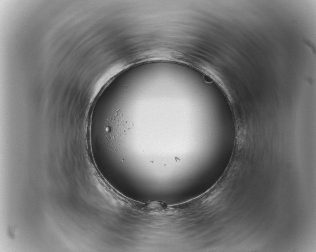 X0000102511146200808151540