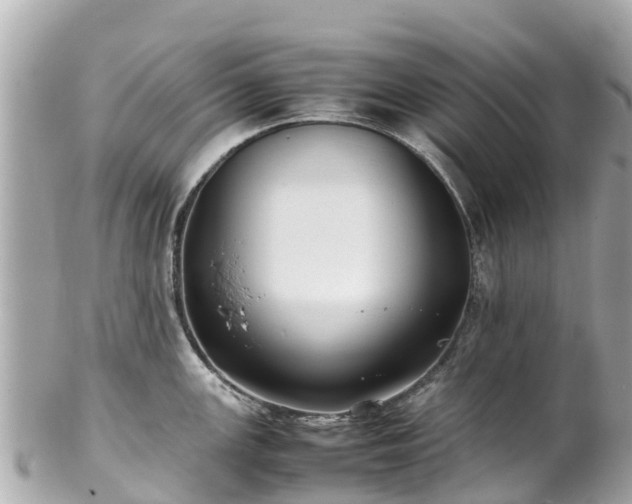 X0000102511147200808151540